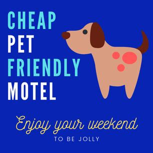 cheap beach motels near me that are pet friendly